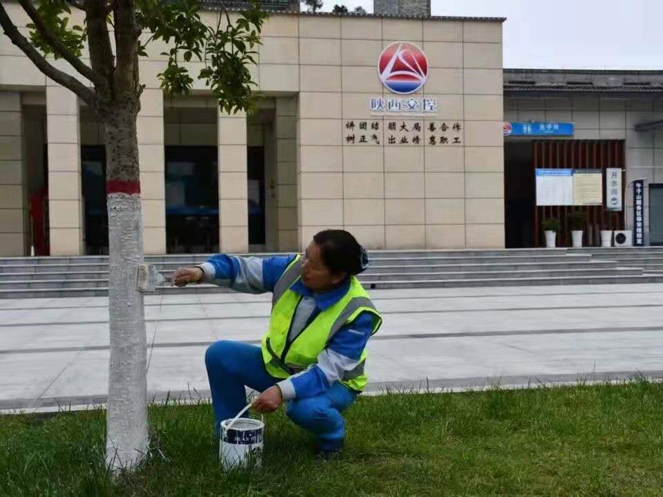 <a href=https://www.shidiannet.com/zt/shaanxi/ target=_blank class=infotextkey>陕西</a>交控服务管理集团午子山服务区：以优良生态营造舒心的服务环境