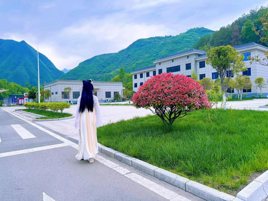 <a href=https://www.shidiannet.com/zt/shaanxi/ target=_blank class=infotextkey>陕西</a>交控服务管理集团午子山服务区：以优良生态营造舒心的服务环境