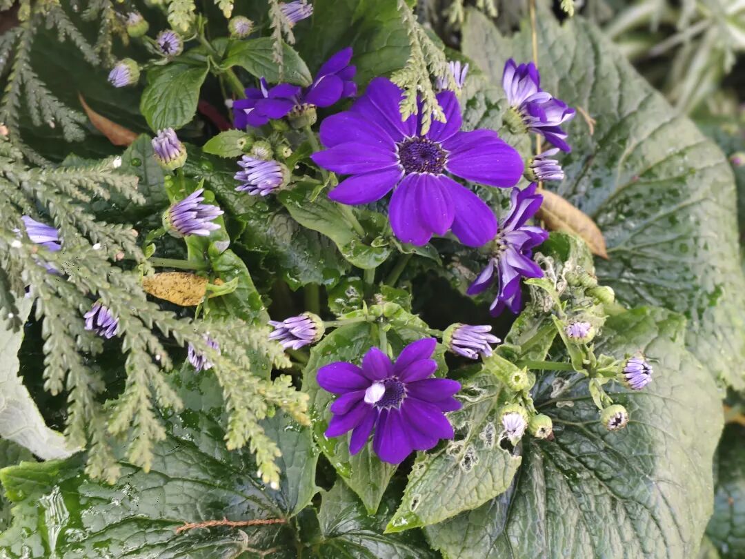 ��ֽ����ɽ����ʹ����ʵ�������ɽ