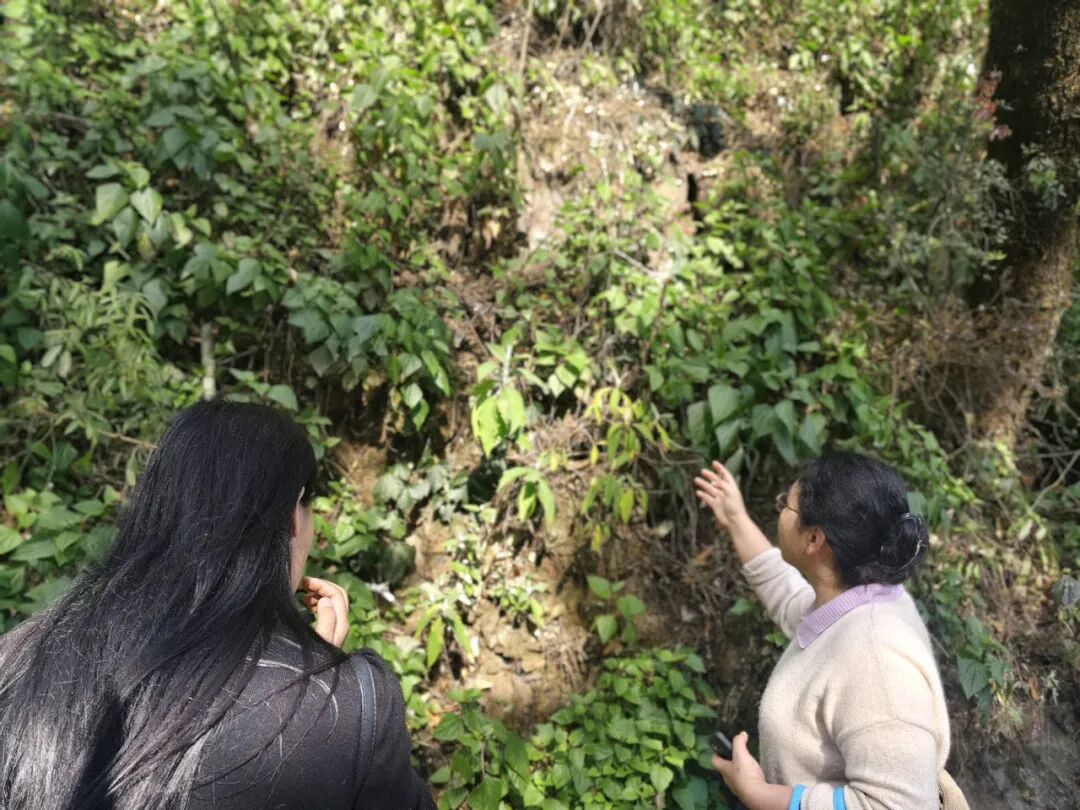 ��ֽ����ɽ����ʹ����ʵ�������ɽ