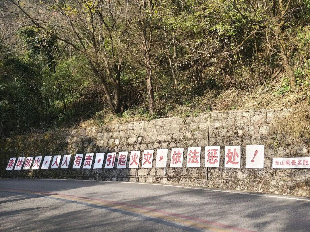 ��ֽ����ɽ����ʹ����ʵ�������ɽ