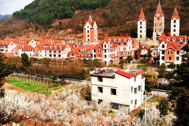 春风有信，花开有期：月照养生谷樱桃花海绘就春日浪漫图鉴