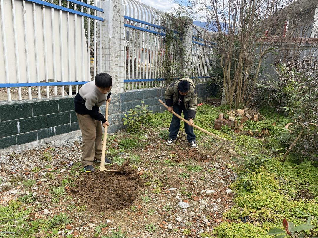 学生手持铁锹挖坑