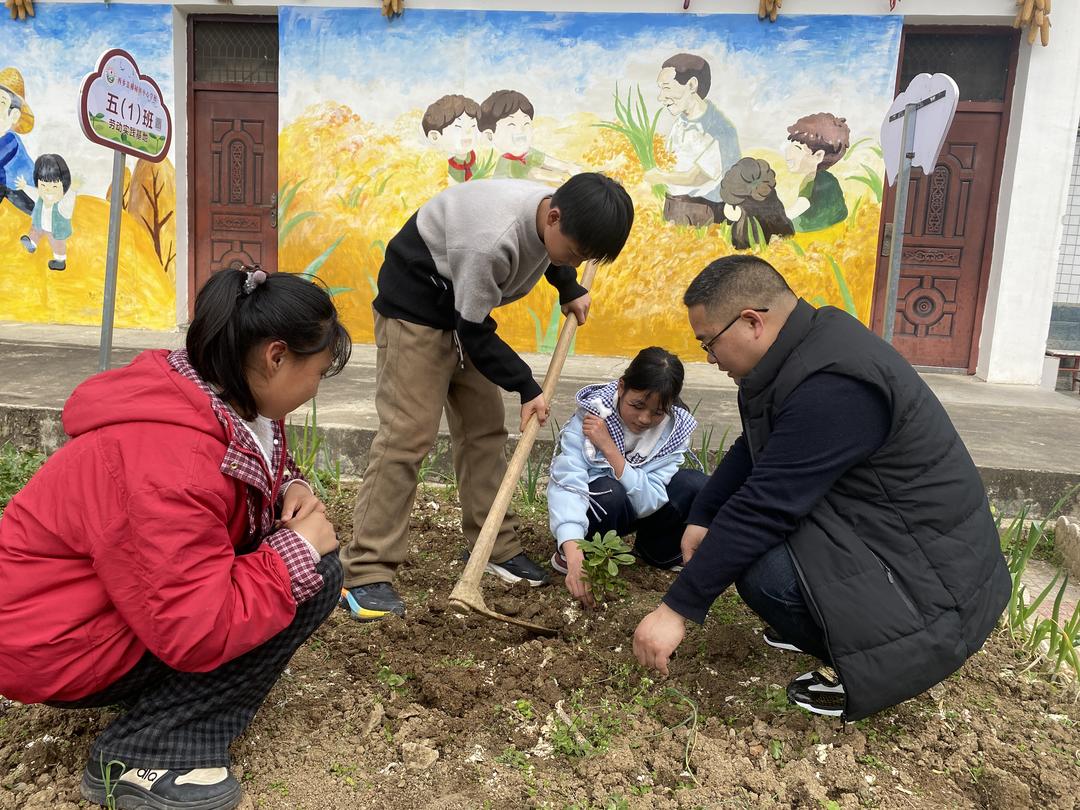 学生在老师的指导下栽种小树苗
