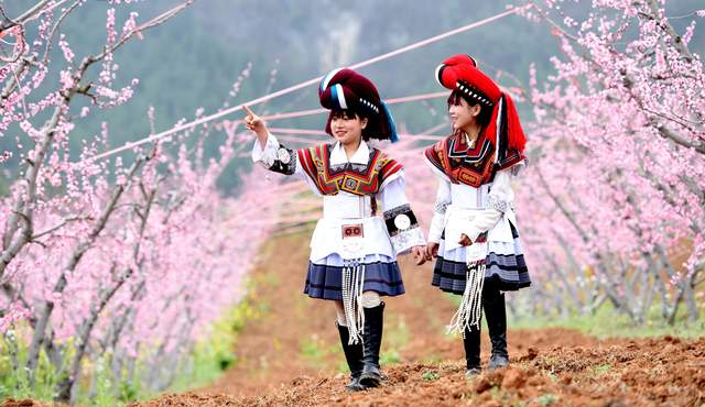 青山作屏花织锦 保华镇百亩桃花绘出春日“浪漫画卷”