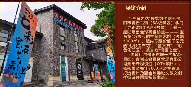 十六载“湘江淬炼”终“荣归故里”：贵州地质专家团莅临青岩古镇“生命之花展览馆”考察指导