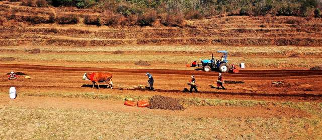 黔西北春潮涌 “薯”乡播种忙    威宁150万亩马铃薯种植全面铺开 机械化智能化绘就春耕新图景