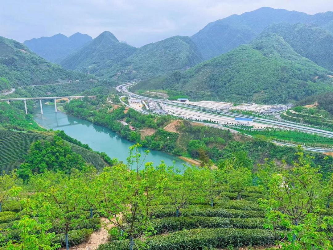 陕西交控服务管理集团午子山服务区:交旅融合促发展