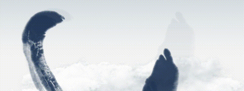 榆林市旅游投资集团有限公司面向社会公开招聘公告