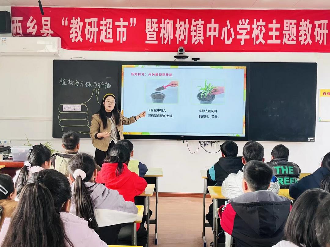千师示范共成长 校际研思助均衡——西乡县柳树镇中心学校开展教师教学技能专项研修