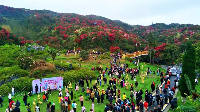 花海深处祭花神 非遗盛典引客来——百里杜鹃金坡景区“祭花神”非遗展示活动-图片6