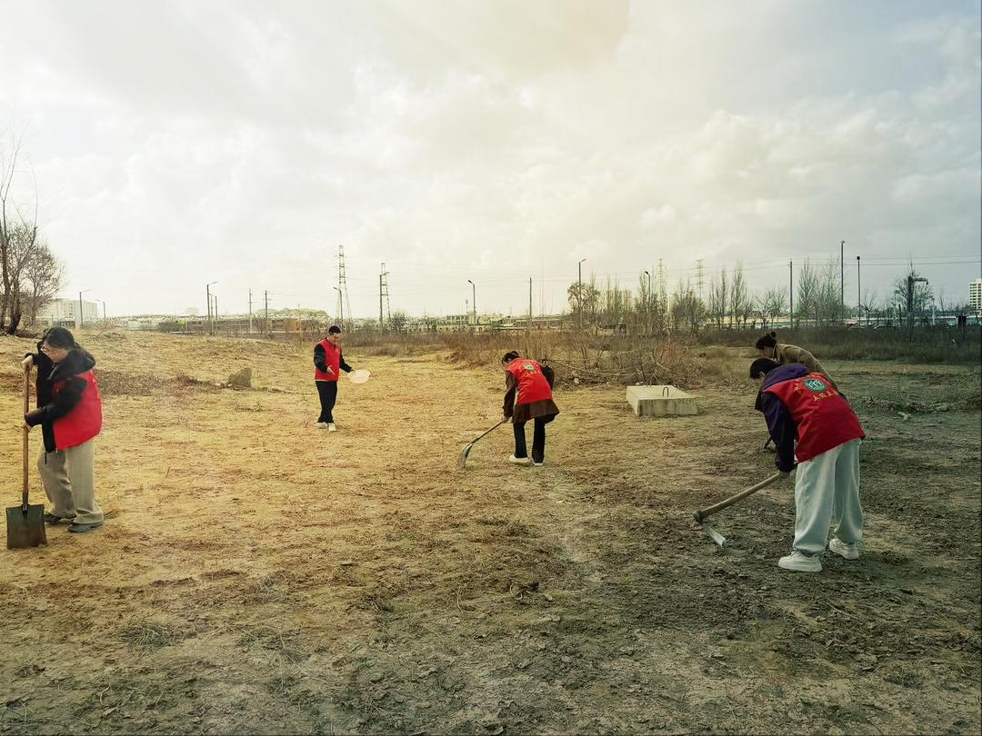 汗水换来满园香——榆阳区崇文路街道寨城庄社区雨后播撒花籽扮靓辖区空地