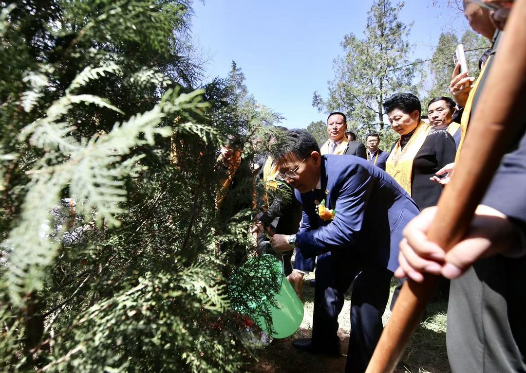 图片[3]-丙午（2026）年清明公祭轩辕黄帝“侨心林”植树活动举行-华闻时空