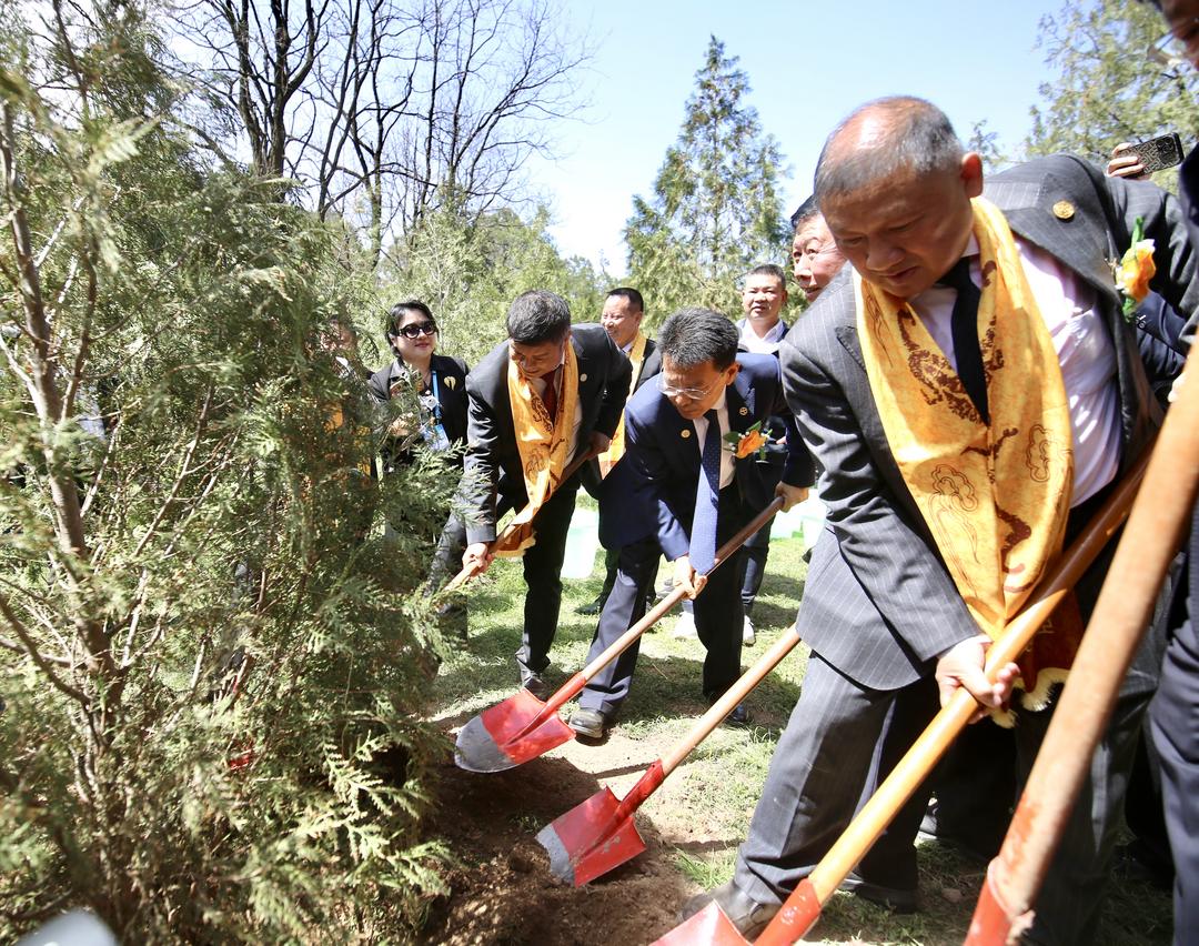 图片[2]-丙午（2026）年清明公祭轩辕黄帝“侨心林”植树活动举行-华闻时空