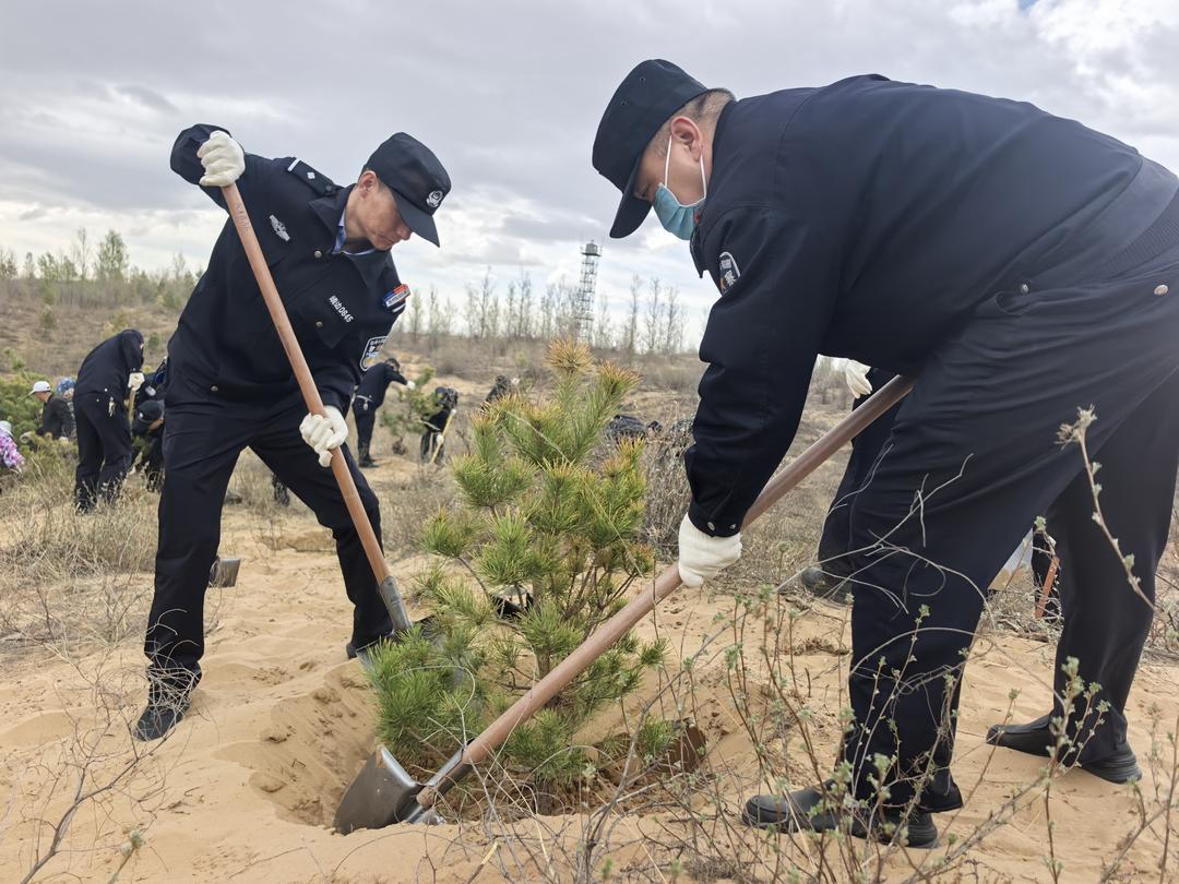 植绿添新景 警心护家园——靖边县公安局开展义务植树活动