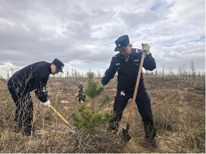 靖边县公安局开展义务植树活动