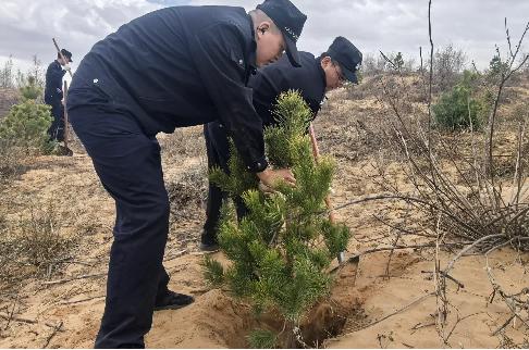 靖边县公安局开展义务植树活动