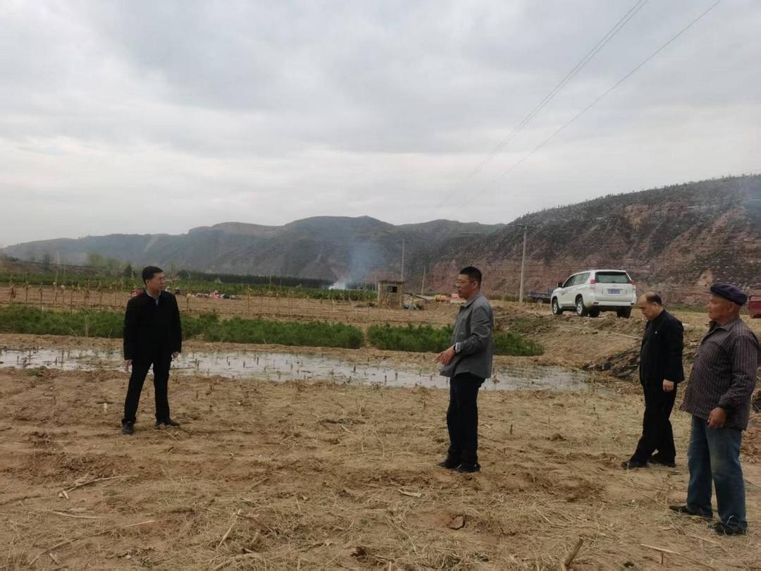 府谷县农业技术推广服务中心主任牛占忠带队开展项目基地实地踏勘选址工作