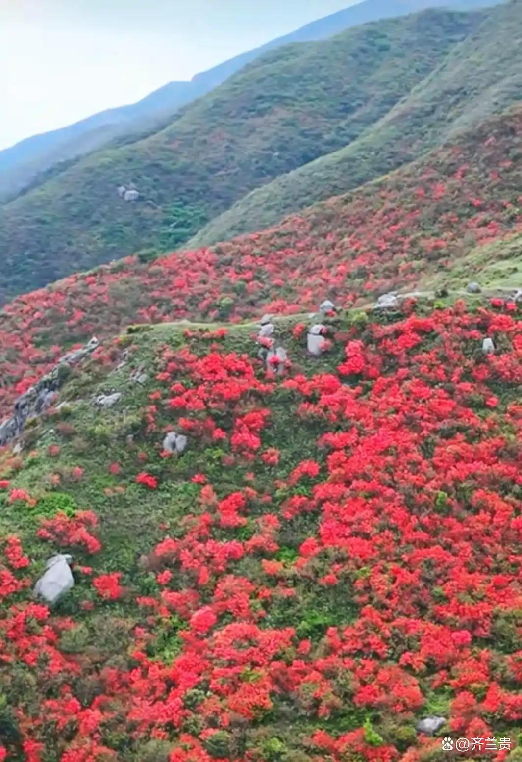 图片[2]-齐兰贵：桂阳三章-华闻时空