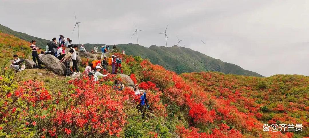 齐兰贵：桂阳三章-华闻时空