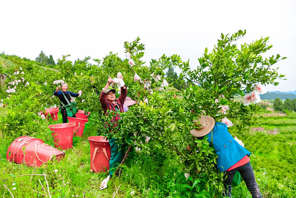 ue1419574322089.jpg ue1419574322089.jpg