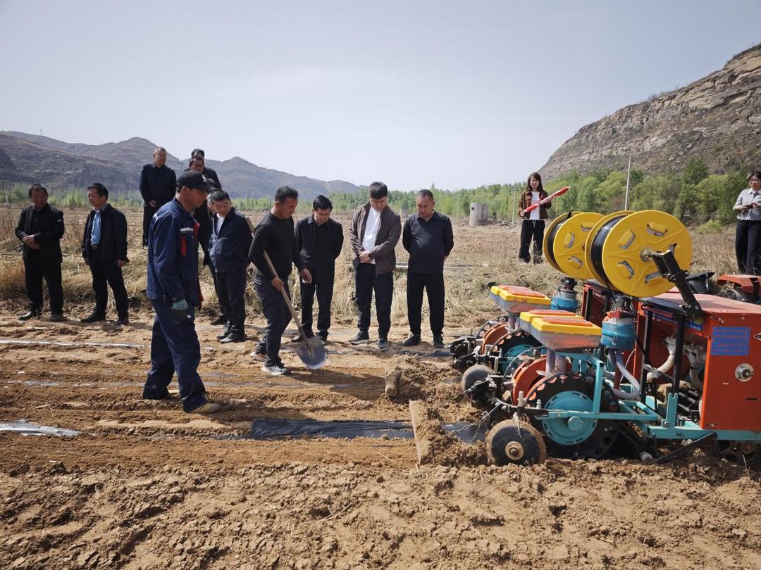 4月15日,府谷县甜糯玉米开播现场观摩培训会在府谷县武家庄镇园子辿村田间地头顺利举办