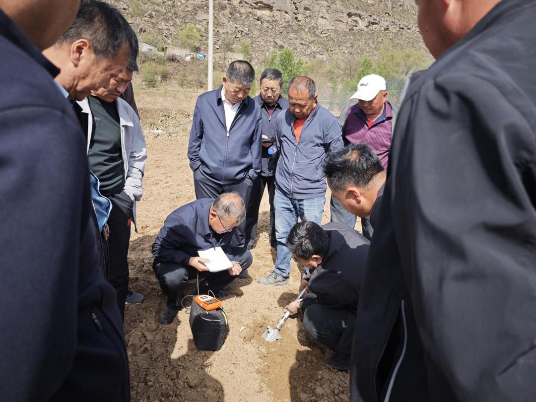 4月15日,府谷县甜糯玉米开播现场观摩培训会在府谷县武家庄镇园子辿村田间地头顺利举办