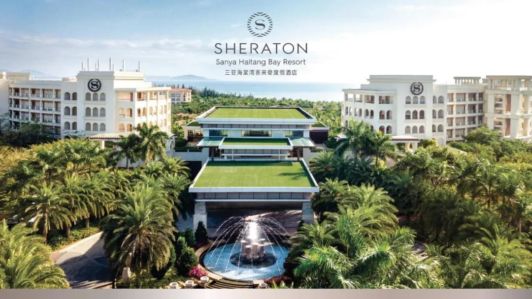 调整期下的价值宣言：2026白水杜康合作商高质量发展研讨会即将释放什么信号？