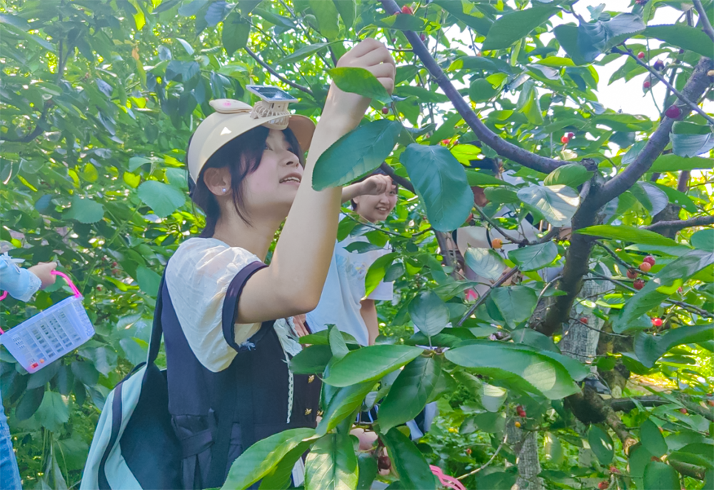 Nanchong, Sichuan: Accumulate sprint strength in the walking 'classroom'