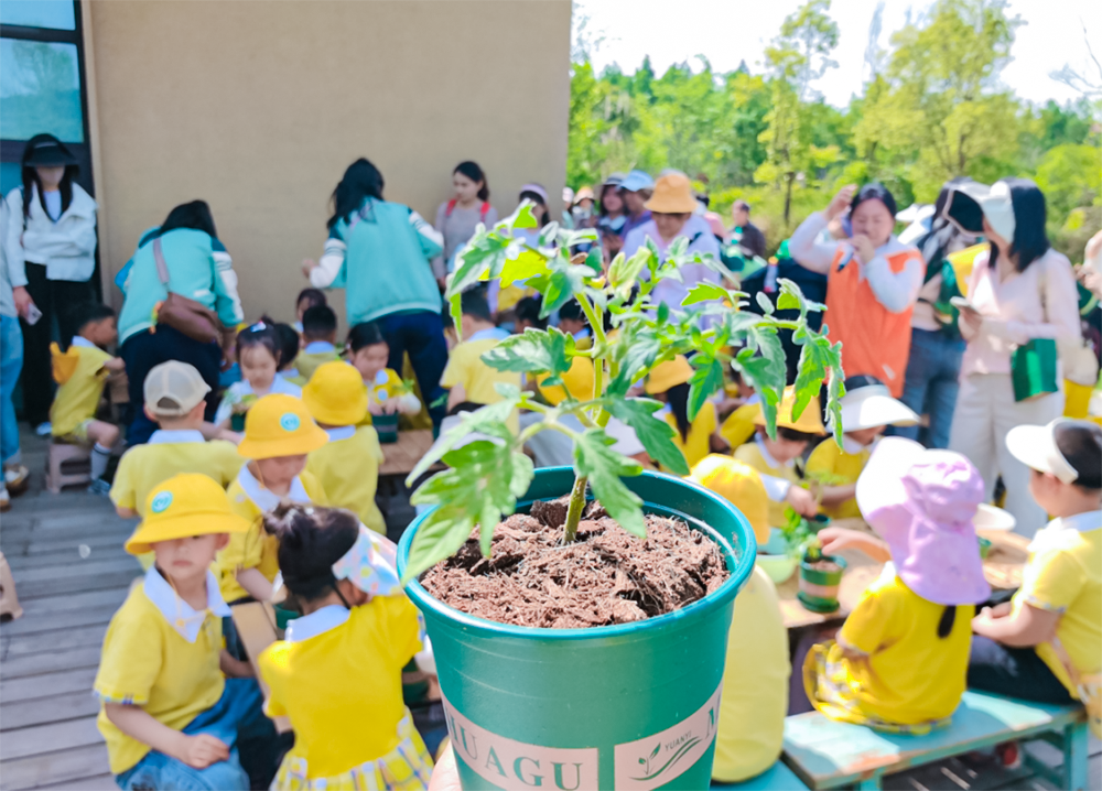 Exploring the Charm of Handmade Incense in Natural Environments