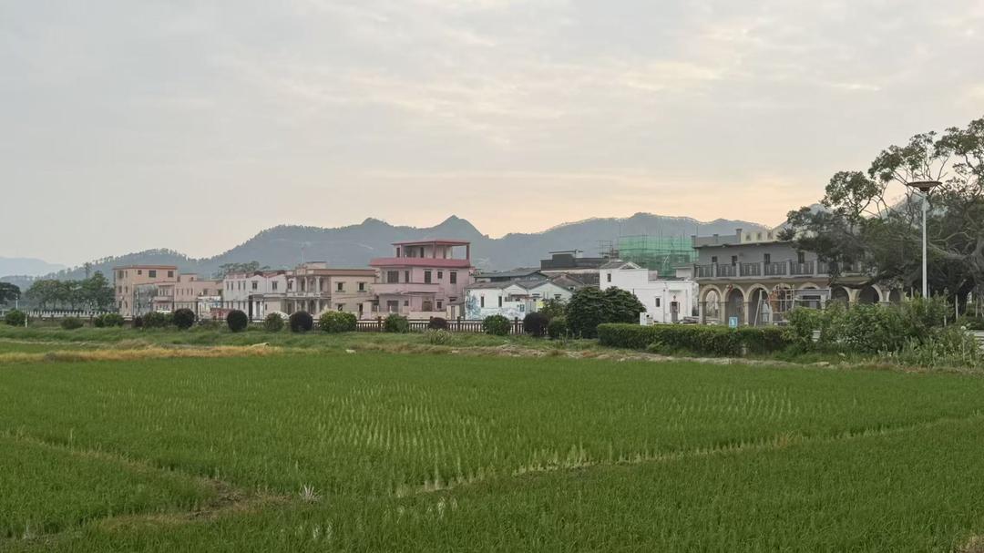 图片[11]-麦浪：春日访南洲    指尖传匠心-华闻时空