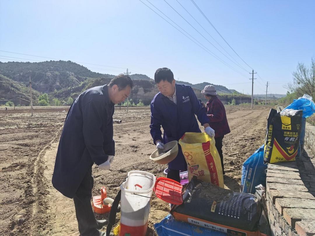 现场开展播种育苗、查苗补苗、田间管护全程技术指导