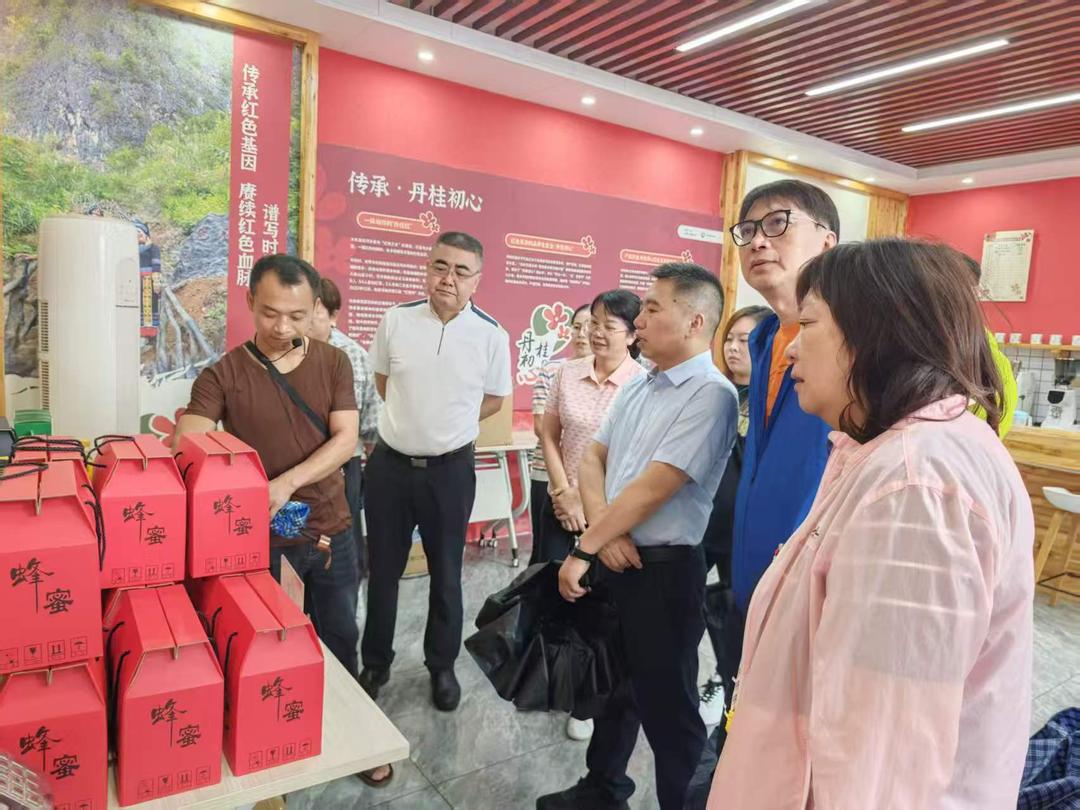 澳門廣西社團考察團開展紅色研學與生態康養交流活動-华闻时空