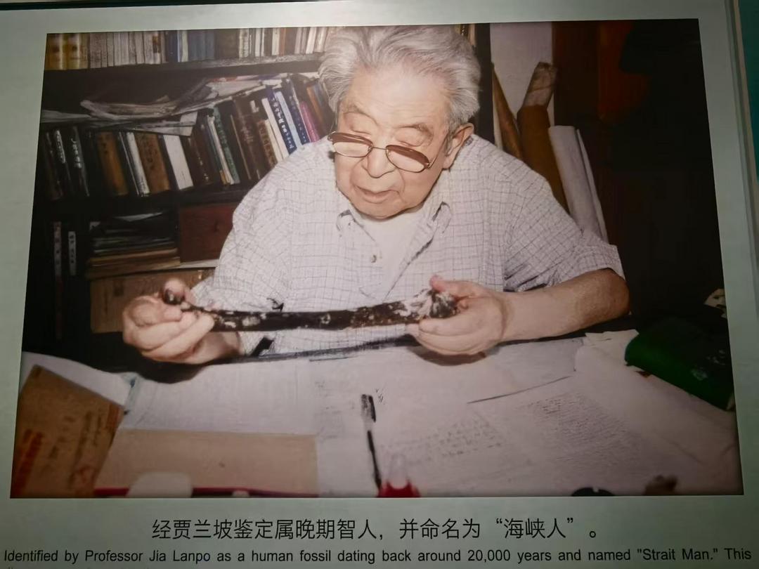 图片[26]-商成勇:《壳丘头的曙色——南岛语族探源记》附海麒麟短评-华闻时空