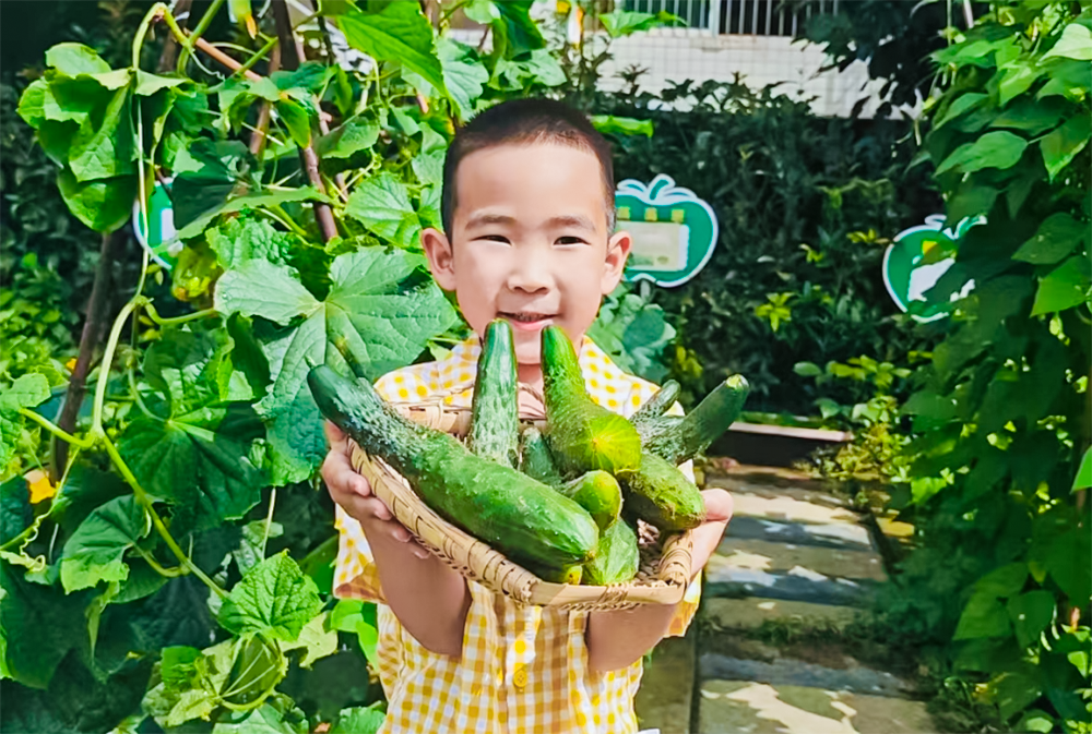 New seedlings of ear sprout in early summer