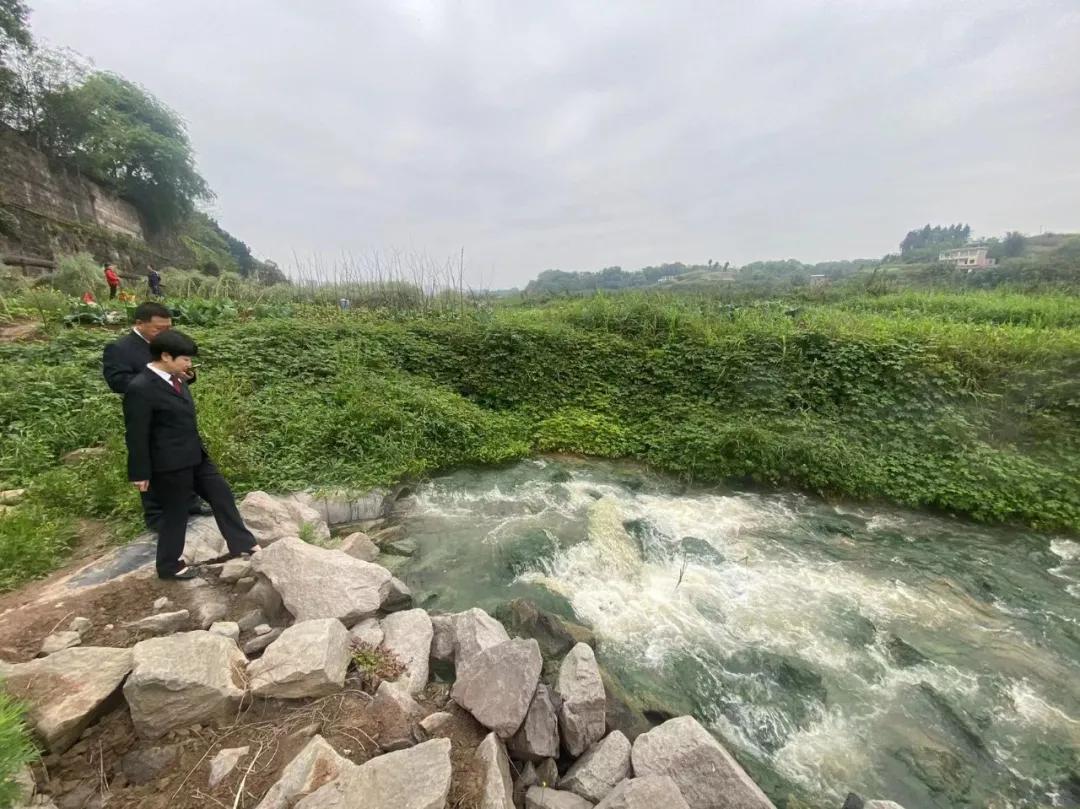 检察干警对赤水河流域河道违规开垦问题进行现场调查.jpg