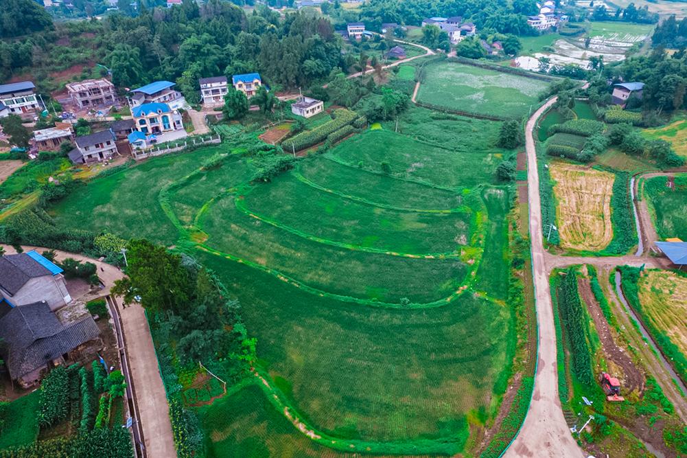 Yingshan, Sichuan: the main works of Chapan and Yanjing reservoir irrigation area reconstruction project have been basically completed