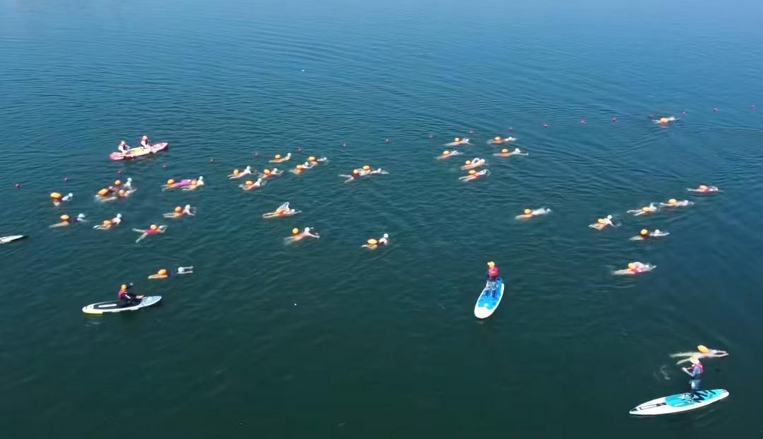 图片[4]-碧水逐浪长三角 体旅融合太平湖——2026 安徽省暨长三角中老年人太平湖畅游邀请赛圆满收官-华闻时空