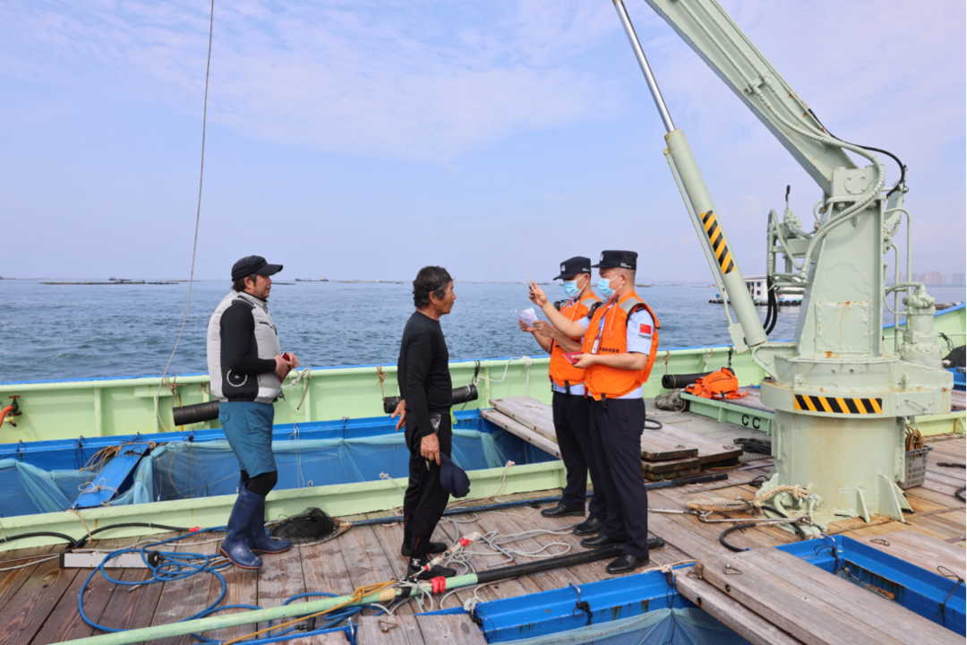 图片[2]-海南自贸港封关后首批海鲡鱼苗出口 10万尾鲜活种苗启运赴日-华闻时空