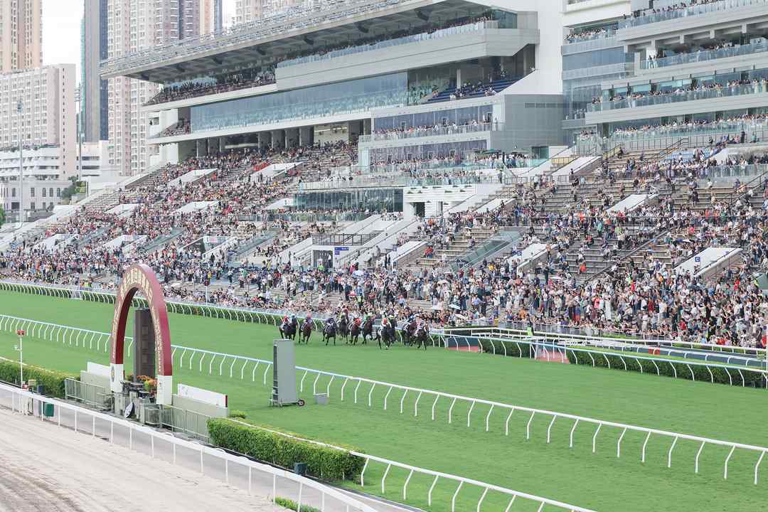 市民及遊客可免費進入沙田及跑馬地馬場公眾席，並以優惠價享用指定餐廳套餐及選購指定商品，共慶回歸。