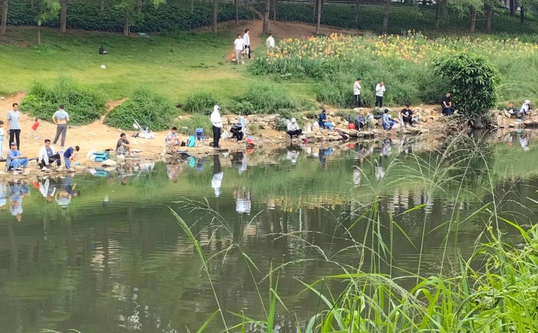 图片[16]-深圳龙华区：观澜古墟-华闻时空