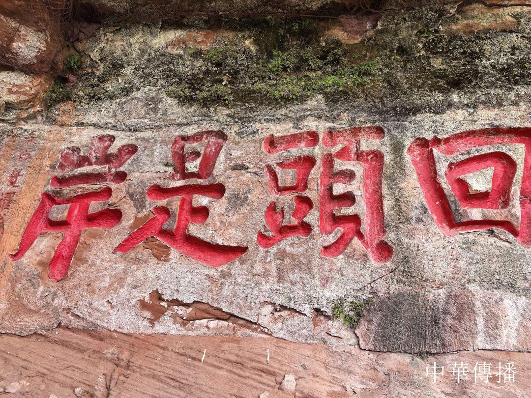 中華文明五千年,泸州酒香七百載——北京市海淀区民革企业家代表团赴川考察调研