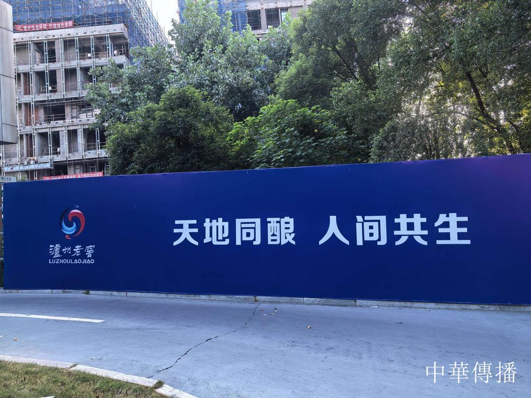中華文明五千年,泸州酒香七百載——北京市海淀区民革企业家代表团赴川考察调研