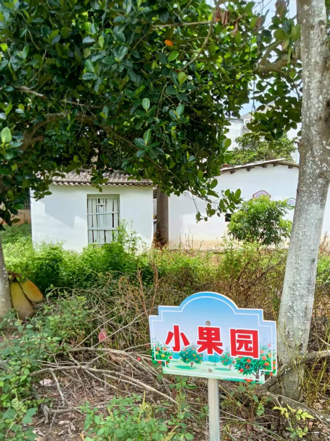 图片[6]-钟伟东｜东车尾村素描-华闻时空