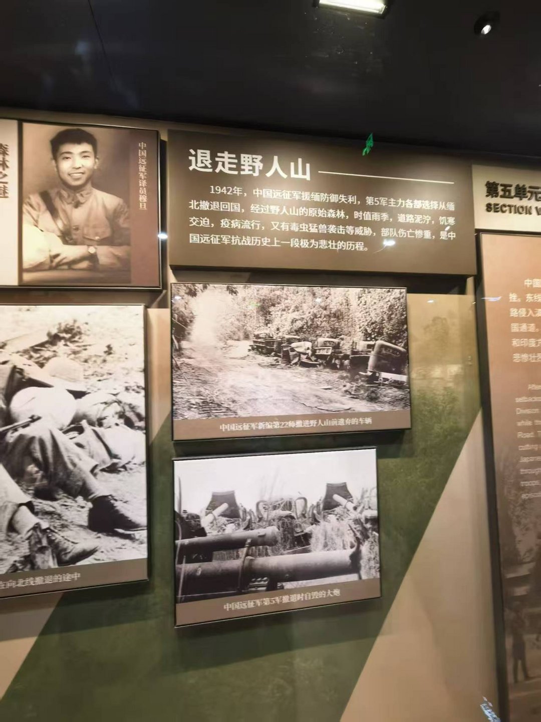 图片[12]-高黎贡山的雨（外二首）| 商成勇-华闻时空