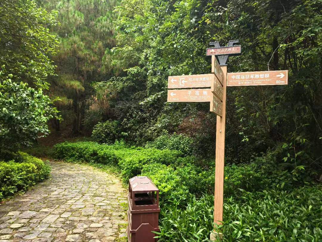 图片[32]-高黎贡山的雨（外二首）| 商成勇-华闻时空