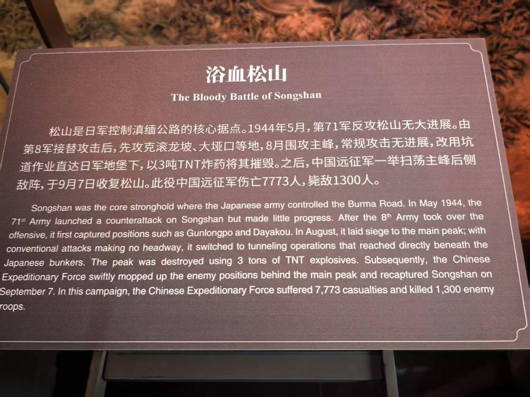 图片[21]-高黎贡山的雨（外二首）| 商成勇-华闻时空