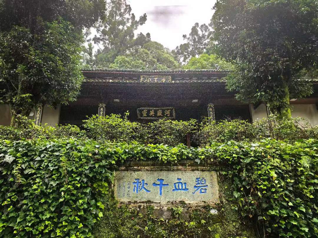 图片[27]-高黎贡山的雨（外二首）| 商成勇-华闻时空