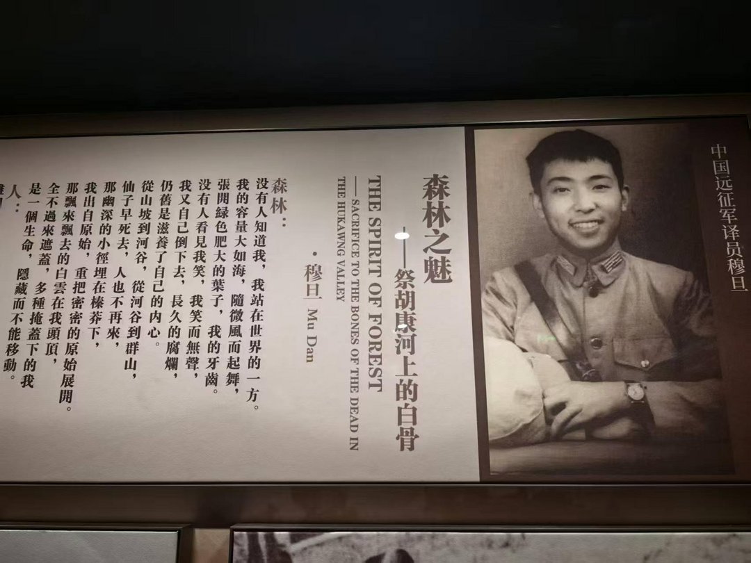 图片[14]-高黎贡山的雨（外二首）| 商成勇-华闻时空