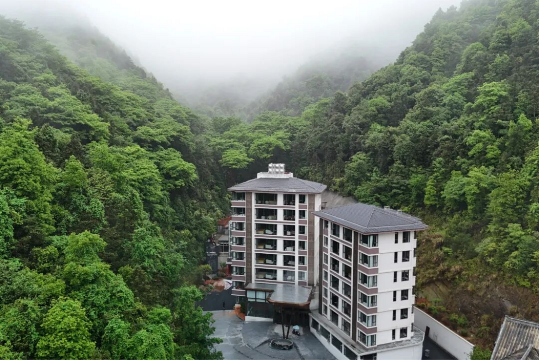 图片[3]-山中藏“金” 江西：九岭山下的“两山”答卷-华闻时空